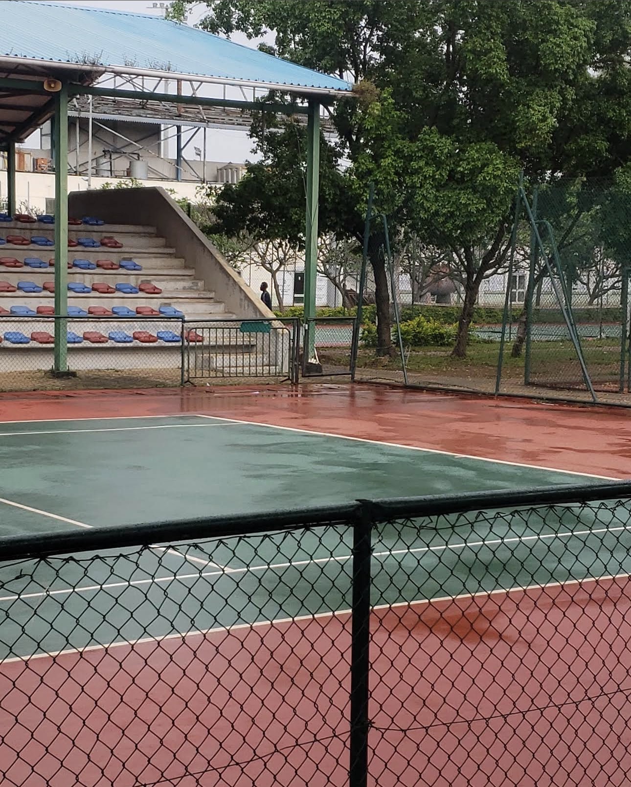 Sports turf